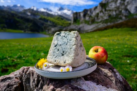 Téléchargez les photos : Fromage bleu Cabrales fabriqué par des agriculteurs des Asturies, Espagne à partir de vaches ou de chèvres mélangées, lait de brebis avec Picos de Europa et lac Covadonga - en image libre de droit