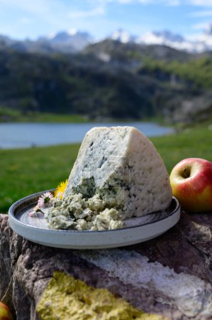 Téléchargez les photos : Fromage bleu Cabrales fabriqué par des producteurs laitiers ruraux des Asturies, Espagne à partir de vaches ou de chèvres mélangées, lait de brebis avec Picos de Europa et lac Covadonga - en image libre de droit