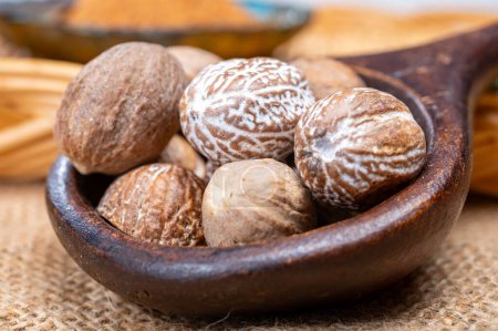 Photo for Tasty winter spice whole dried and ground powder nutmeg, used as an ingredient in many dishes, eggnog, potato, mulled wine, close up - Royalty Free Image