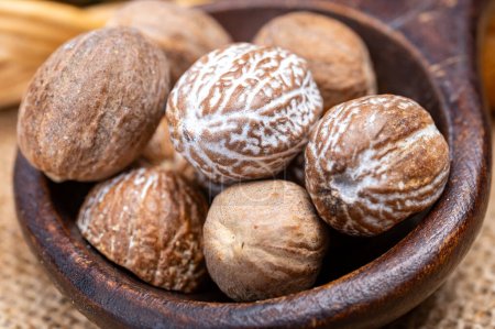 Tasty winter spice whole dried nutmeg, used as an ingredient in many dishes, eggnog, potato, mulled wine, close up on old wooden table close up