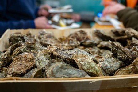 Captura del día a la venta en el mercado diario de pescado, ostras frescas, Cancale, Bretaña, oceran Atlántico, Francia
