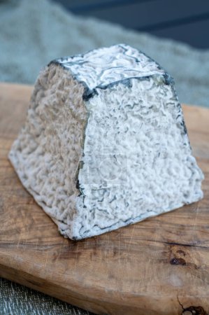 Photo for Cheese collection, French Pouligny pyramid cheese made from goat milk in region Pouligny-Saint-Pierre in France close up with black mold - Royalty Free Image