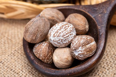 Photo for Tasty winter spice whole dried nutmeg, used as an ingredient in many dishes, eggnog, potato, mulled wine, close up on old wooden table close up - Royalty Free Image