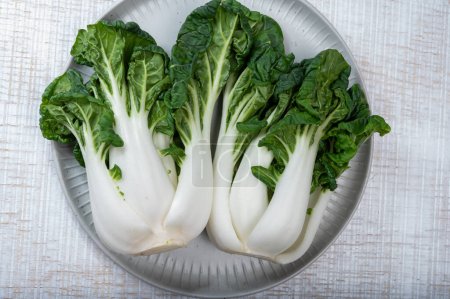 Junge Bio-Weißbock Choy oder Bak Choi Chinakohl bereit zum Kochen, gesundes Essen