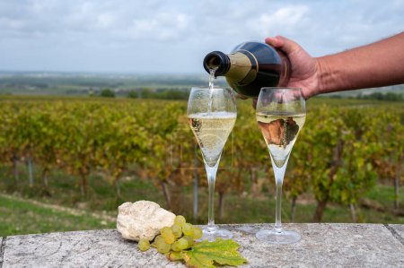 Degustación de vino blanco espumoso grand cru con champán burbujas en los viñedos de Chardonnay en Avize, Ay gran cru pequeño pueblo productor de vino, Costa de Blancos, Champagne, Francia