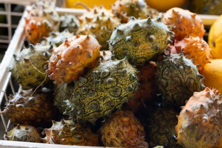 Photo for Kiwano tropical fruits, African horned cucumber, horned melon, spiked melon, jelly melon with horn-like spines, hence the name horned melon - Royalty Free Image