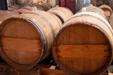 Bodega con barricas de madera de roble en el antiguo dominio del vino en los viñedos de Sauternes en el pueblo de Barsac con uvas afectadas por la putrefacción noble Botrytis cinerea, elaboración de vinos dulces de postre Sauternes en Burdeos, Francia