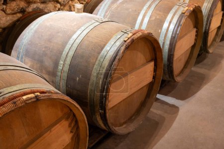 Bodega con barricas de madera de roble en el antiguo dominio del vino en los viñedos de Sauternes en el pueblo de Barsac con uvas afectadas por la putrefacción noble Botrytis cinerea, elaboración de vinos dulces de postre Sauternes en Burdeos, Francia