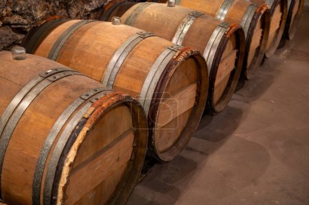 Wine cellar with oak wooden barrels in old wine domain on Sauternes vineyards in Barsac village with grapes affected by Botrytis cinerea noble rot, making of sweet dessert Sauternes wines in Bordeaux, France