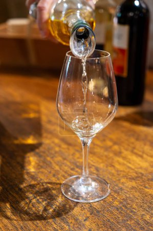 Degustación de vinos blancos dulces Sauternes en el antiguo dominio del vino en los viñedos Sauternes en la aldea de Barsac afectada por Botrytis cinerea noble rot, Burdeos, Francia
