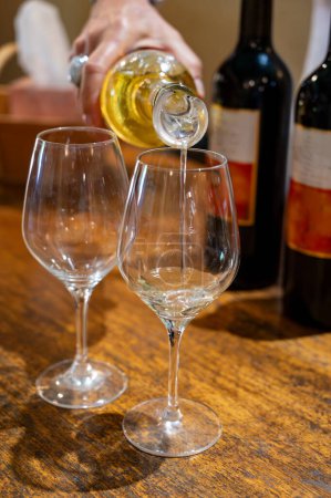 Degustación de vinos blancos dulces Sauternes en el antiguo dominio del vino en los viñedos Sauternes en la aldea de Barsac afectada por Botrytis cinerea noble rot, Burdeos, Francia