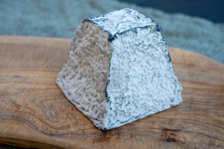 Cheese collection, French Pouligny pyramid cheese made from goat milk in region Pouligny-Saint-Pierre in France close up with black mold
