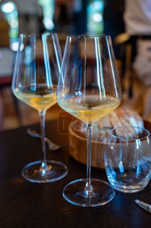 Degustación de vino blanco de Burdeos en Sauternes, orilla izquierda del estuario de Gironda, Francia. Vasos de vino francés dulce blanco servidos en el restaurante