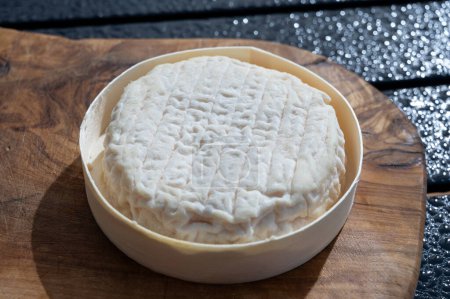 Käsekollektion, French Perail lässt Buissieres Weichkäse aus Schafsmilch aus Aveyron, Frankreich aus nächster Nähe