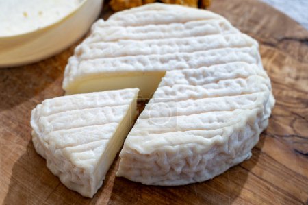 Käsekollektion, French Perail les Buissieres Weichkäse aus Schafsmilch aus Aveyron, Frankreich aus nächster Nähe