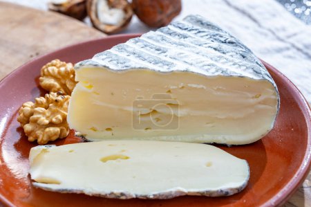 Pedazo de queso tomme de chevre hecho de leche de cabra en Francia de cerca