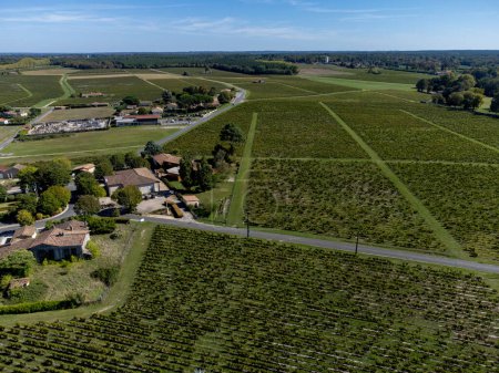 Aerial view on Sauternes village and vineyards, making of sweet dessert Sauternes wines from Semillon grapes affected by Botrytis cinerea noble rot,  Bordeaux, France