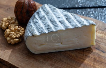 Piece of cheese tomme de chevre made from goat milk in France close up