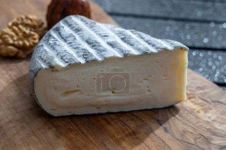 Pedazo de queso tomme de chevre hecho de leche de cabra en Francia de cerca