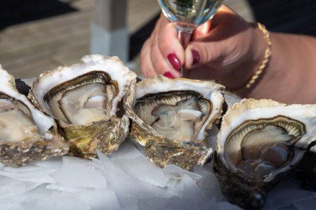 Eating of fresh live oysters with citron and white wine at farm cafe in oyster-farming village, with view on boats and water of Arcachon bay, Cap Ferret peninsula, Bordeaux, France in sunny day