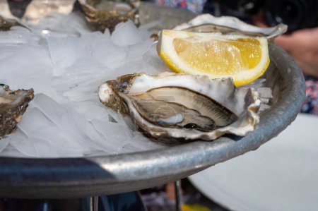 Eating of fresh live oysters with citron at farm cafe in oyster-farming village, with view on boats and water of Arcachon bay, Cap Ferret peninsula, Bordeaux, France in sunny day