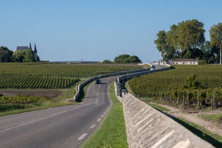 Tiempo de cosecha en viñedos verdes, dominio del vino o castillo en la región vinícola de Haut-Medoc, Burdeos, orilla izquierda del estuario de Gironda, Francia