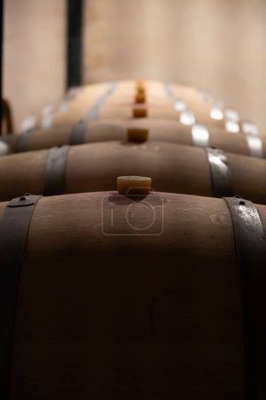 Bodega de vinos con barricas de roble francés para el envejecimiento del vino tinto elaborado a partir de uva Cabernet Sauvignon, viñedos Haut-Medoc en Burdeos, margen izquierda del estuario Gironda, Pauillac, Francia