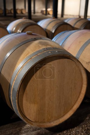 WIne celler with french oak barrels for aging of red wine made from Cabernet Sauvignon grape variety, Haut-Medoc vineyards in Bordeaux, left bank of Gironde Estuary, Pauillac, France