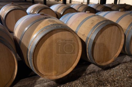 WIne celler with french oak barrels for aging of red wine made from Cabernet Sauvignon grape variety, Haut-Medoc vineyards in Bordeaux, left bank of Gironde Estuary, Pauillac, France