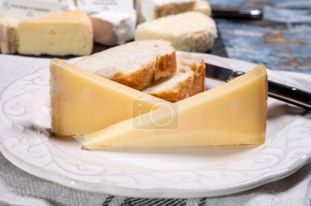 Französischer Käse Comte, drei Sorten 1 Jahr gereift Prestige, fruchtig aromatisiert Fruit und Vieille Reserve aus nächster Nähe