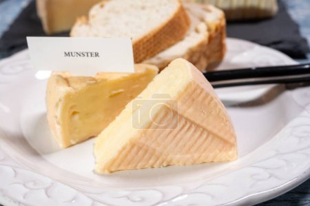 Photo for Munster gerome French cheese, strong-smelling soft cheese with subtle taste, made mainly from milk first produced in Vosges mountains, close up - Royalty Free Image