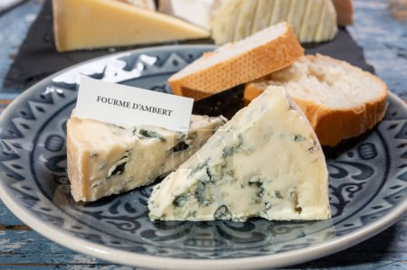 Cheese collection, piece of French blue cheese auvergne or fourme d'ambert close up