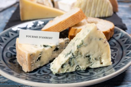 Collection de fromages, morceau de fromage bleu auvergne ou fourme d'ambert close up