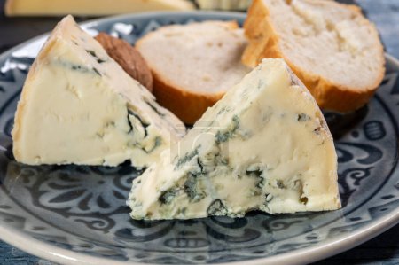Käsekollektion, Stück französischer Blauschimmelkäse Auvergne oder Fourme d 'ambert aus nächster Nähe