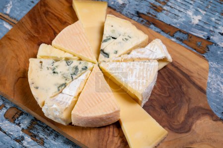 Assiette de dégustation avec de nombreux petits morceaux de fromages français différents, variété de fromages