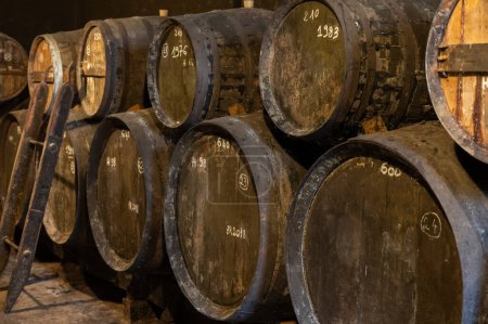 Proceso de envejecimiento del alcohol de coñac en barricas viejas de roble francés oscuro en bodega en la destilería, región de vino blanco de Cognac, Charente, Segonzac, Grand Champagne, Francia