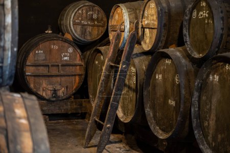 Proceso de envejecimiento del alcohol de coñac en barricas viejas de roble francés oscuro en bodega en la destilería, región de vino blanco de Cognac, Charente, Segonzac, Grand Champagne, Francia