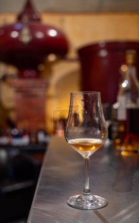 Dégustation d'eau-de-vie de cognac vieilli dans de vieux fûts de chêne noir en cave dans maison de distillerie, région viticole blanche de cognac, Charente, Segonzac, Grand Champagne, France