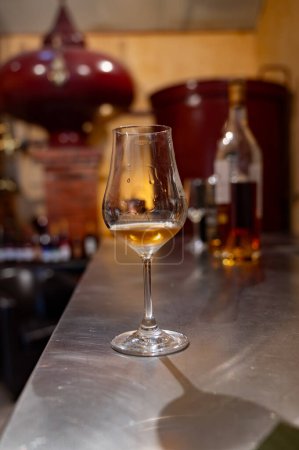 Verkostung von Cognac-Spirituosen, die in alten Fässern aus dunkler französischer Eiche im Keller der Brennerei gereift sind, Cognac-Weißweinregion, Charente, Segonzac, Grand Champagne, Frankreich