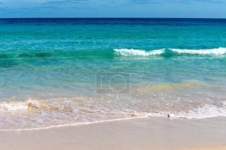 Téléchargez les photos : Caleta del bajo, corralejo grandes playas plages de sable blanc avec eau bleue près de Corralejo ville touristique au nord de Fuerteventura, îles Canaries, Espagne - en image libre de droit