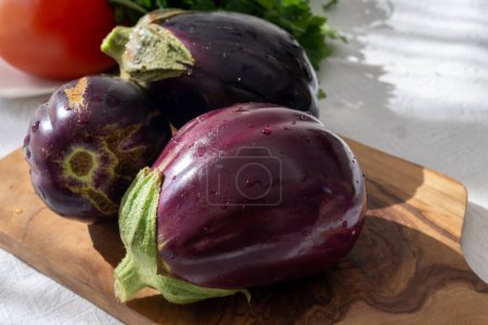 Raw young eggplants vegetables from organic vegetables farm on Fuerteventura island, Canary islands, Spain