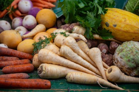 Marché de plein air avec légumes-racines biologiques d'hiver saisonniers, citrouilles, frais, carottes