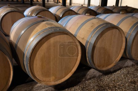 Weinkeller mit französischen Eichenfässern zur Lagerung von Rotweinen aus der Rebsorte Cabernet Sauvignon, Weinberge Haut-Medoc in Bordeaux, linkes Ufer der Gironde-Mündung, Pauillac, Frankreich