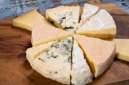 Assiette de dégustation avec de nombreux petits morceaux de fromages français différents, variété de fromages