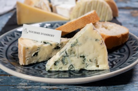 Colección de quesos, pieza de queso azul francés auvergne o fourme d 'ambert de cerca