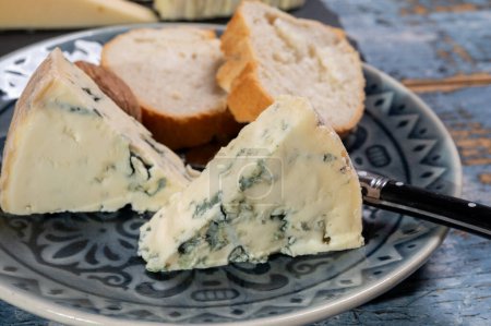 Colección de quesos, pieza de queso azul francés auvergne o fourme d 'ambert de cerca