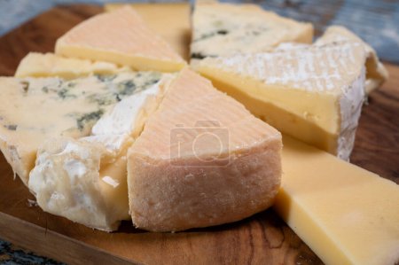 Verkostungsteller mit vielen kleinen Stücken verschiedener französischer Käsesorten, verschiedene Käsesorten
