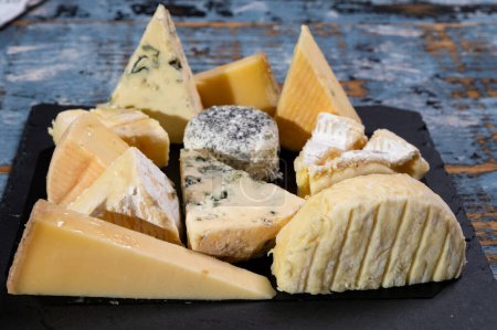 Verkostungsteller mit vielen kleinen Stücken verschiedener französischer Käsesorten, verschiedene Käsesorten