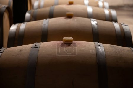Cave WIne avec barriques de chêne français pour le vieillissement du vin rouge issu du cépage Cabernet Sauvignon, vignobles du Haut-Médoc à Bordeaux, rive gauche de l'estuaire de la Gironde, Pauillac, France