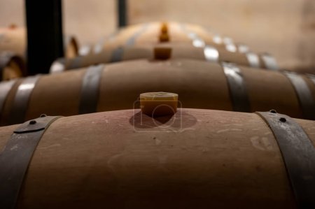 Foto de Bodega de vinos con barricas de roble francés para el envejecimiento del vino tinto elaborado a partir de uva Cabernet Sauvignon, viñedos Haut-Medoc en Burdeos, margen izquierda del estuario Gironda, Pauillac, Francia - Imagen libre de derechos